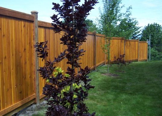 Five Reasons To Choose Wood Fencing For Your Backyard